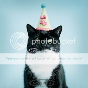 birthday_cat-1.jpg